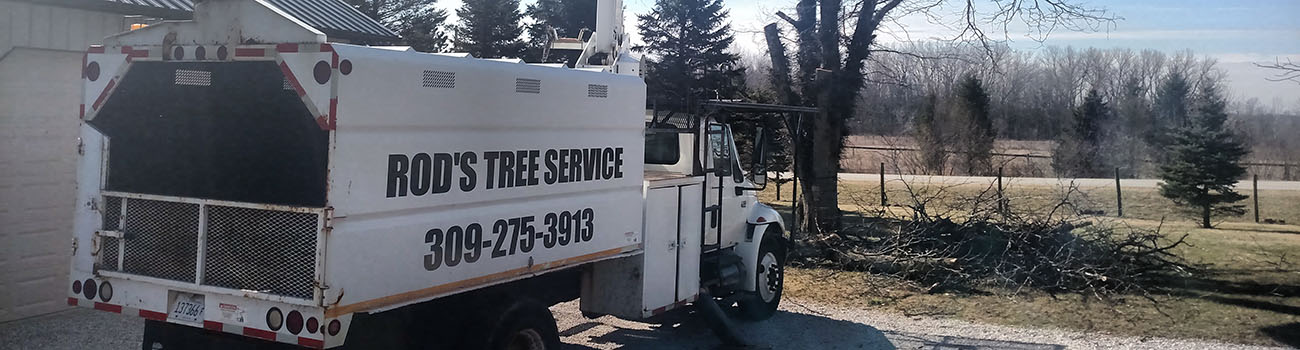 Our Work - Rod's Tree Service